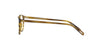 Oliver Peoples Riley-R OV5004 Moss Tortoise #colour_moss-tortoise