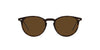 Oliver Peoples Riley Sun OV5004SU Dark Tortoise/Brown Polarised #colour_dark-tortoise-brown-polarised