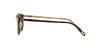 Oliver Peoples Riley Sun OV5004SU Dark Tortoise/Brown Polarised #colour_dark-tortoise-brown-polarised