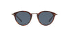 Oliver Peoples OP-505 SUN OV5184S Dark-Tortoise-Blue #colour_dark-tortoise-blue