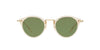 Oliver Peoples OP-505 SUN OV5184S Yellow-Green #colour_yellow-green