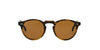 Oliver Peoples Gregory Peck SUN OV5217S Horn-Brown #colour_horn-brown