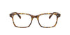 Oliver Peoples Nisen OV5446U Dark Tortoise #colour_dark-tortoise
