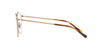 Polo Ralph Lauren PH1179 Gold #colour_gold