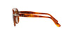 Persol PO0649 Light Tortoise/Brown #colour_light-tortoise-brown