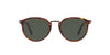 Persol PO3210S Dark Tortoise/Green #colour_dark-tortoise-green