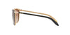 Ralph by Ralph Lauren RA5160 Black/Brown Gradient #colour_black-brown-gradient