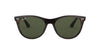Ray-Ban Wayfarer II Evolve RB2185 Dark Tortoise/Green #colour_dark-tortoise-green