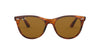 Ray-Ban Wayfarer II Evolve RB2185 Light Tortoise/Brown #colour_light-tortoise-brown