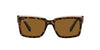 Ray-Ban Inverness RB2191 Dark-Tortoise-Brown-Polarised #colour_dark-tortoise-brown-polarised