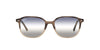 Ray-Ban Leonard RB2193 Brown-Blue-Gradient #colour_brown-blue-gradient
