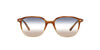 Ray-Ban Leonard RB2193 Light-Tortoise-Blue-Gradient #colour_light-tortoise-blue-gradient