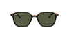 Ray-Ban Leonard RB2193 Dark Tortoise/Green #colour_dark-tortoise-green