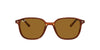 Ray-Ban Leonard RB2193 Dark Tortoise/Brown #colour_dark-tortoise-brown