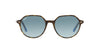 Ray-Ban Thalia RB2195 Dark Tortoise/Blue Gradient #colour_dark-tortoise-blue-gradient