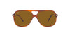 Ray-Ban Bill RB2198 Light Tortoise/Brown #colour_light-tortoise-brown