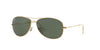 Ray-Ban Cockpit RB3362 Gold/Green #colour_gold-green