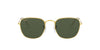 Ray-Ban Frank RB3857 Gold-Green #colour_gold-green