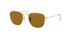 Ray-Ban Frank RB3857 Gold/Brown 1 #colour_gold-brown-1