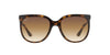 Ray-Ban Cats 1000 RB4126 Light-Tortoise-Brown #colour_light-tortoise-brown