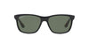 Ray-Ban RB4181 Black-Green-Polarised #colour_black-green-polarised