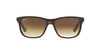 Ray-Ban RB4181 Light-Tortoise-Brown #colour_light-tortoise-brown