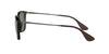 Ray-Ban Chris RB4187 Light-Tortoise-Green #colour_light-tortoise-green