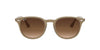 Ray-Ban RB4259 Brown-Brown #colour_brown-brown