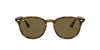 Ray-Ban RB4259 Dark Tortoise/Brown 1 #colour_dark-tortoise-brown-1