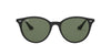 Ray-Ban RB4305 Black-Green #colour_black-green