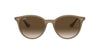 Ray-Ban RB4305 Brown-Brown-Gradient #colour_brown-brown-gradient
