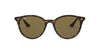 Ray-Ban RB4305 Dark-Tortoise-Brown #colour_dark-tortoise-brown