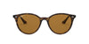 Ray-Ban RB4305 Dark-Tortoise-Brown-Polarised #colour_dark-tortoise-brown-polarised