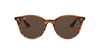 Ray-Ban RB4305 Red-Brown #colour_red-brown