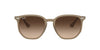Ray-Ban RB4306 Brown/Brown Gradient #colour_brown-brown-gradient