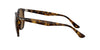 Ray-Ban RB4306 Dark-Tortoise-Brown-Polarised #colour_dark-tortoise-brown-polarised