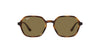 Ray-Ban Elon RB4361 Dark-Tortoise-Brown #colour_dark-tortoise-brown