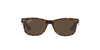 Ray-Ban Junior RJ9052S Dark-Tortoise-Brown #colour_dark-tortoise-brown