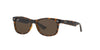Ray-Ban Junior RJ9052S Dark-Tortoise-Brown #colour_dark-tortoise-brown