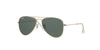 Ray-Ban Junior RJ9506S Gold/Green #colour_gold-green