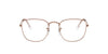 Ray-Ban RB3857V Brown #colour_brown