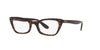 Ray-Ban Lady Burbank RB5499 Havana #colour_havana