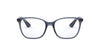 Ray-Ban RB7066 Violet #colour_violet