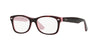 Ray-Ban Junior RB1528 Dark Tortoise #colour_dark-tortoise