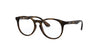 Ray-Ban Junior RB1554 Dark Tortoise #colour_dark-tortoise