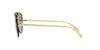 Versace VE2231 Gold-Grey #colour_gold-grey