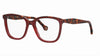 #colour_burgundy-havana