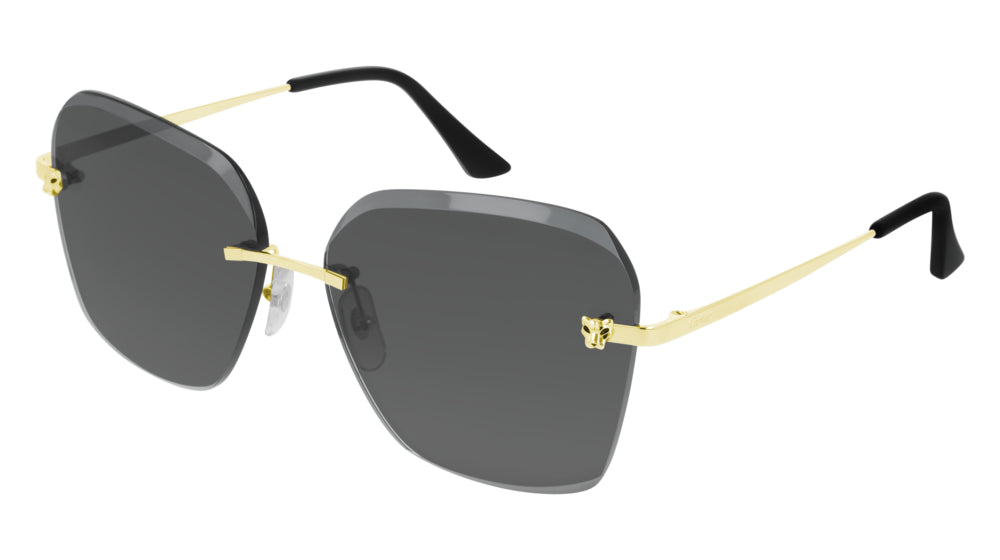 Cartier CT0147S Gold/Brown #colour_gold-brown
