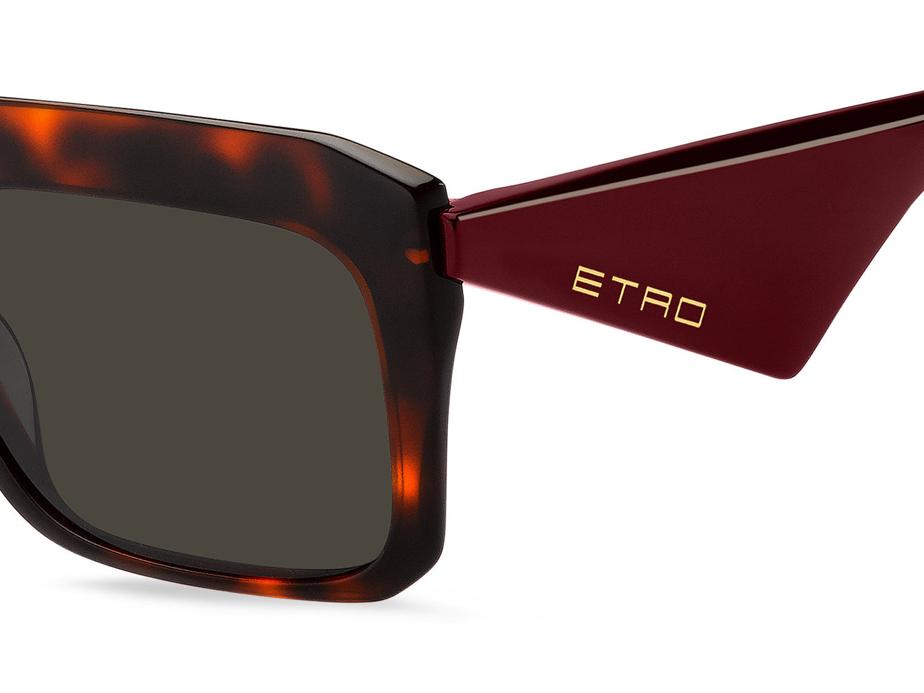 ETRO 0045/G/S Havana Burgundy/Brown #colour_havana-burgundy-brown