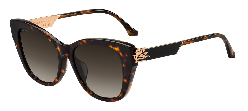 ETRO 0062/F/S Havana/Black Brown Green Antireflex Gradient #colour_havana-black-brown-green-antireflex-gradient